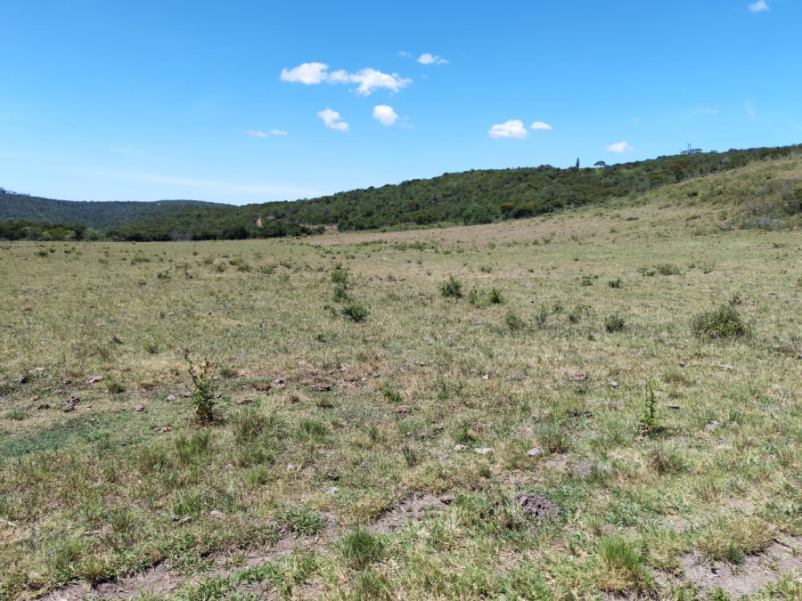 Commercial Property for Sale in Komga Rural Eastern Cape